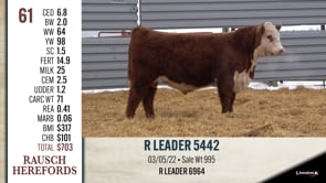 Lot #61 - R LEADER 5442