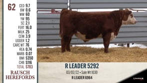 Lot #62 - R LEADER 5292