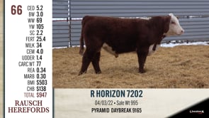 Lot #66 - R HORIZON 7202