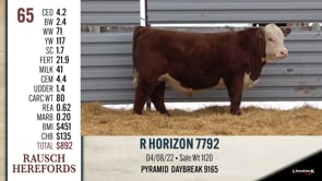 Lot #65 - R HORIZON 7792