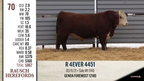 Lot #70 - R 4EVER 4451