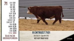 Lot #71 - R ENTRUST 7101