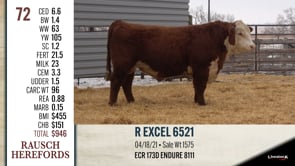 Lot #72 - R EXCEL 6521