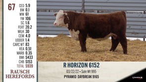 Lot #67 - R HORIZON 6152