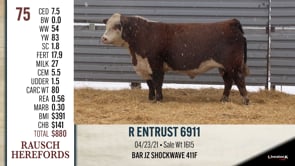 Lot #75 - R ENTRUST 6911