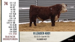 Lot #74 - R LEADER 4801