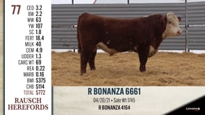 Lot #77 - R BONANZA 6661