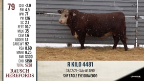 Lot #79 - R KILO 4481