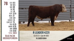 Lot #78 - R LEADER 4231