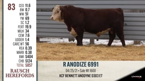 Lot #83 - R ANODIZE 6991