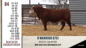 Lot #84 - R WARRIOR 6751