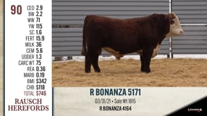 Lot #90 - R BONANZA 5171