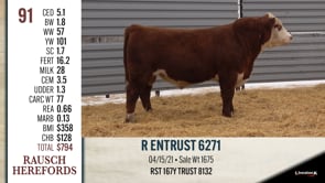 Lot #91 - R ENTRUST 6271
