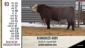 Lot #93 - R ANODIZE 4081