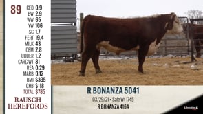 Lot #89 - R BONANZA 5041