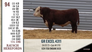 Lot #94 - GR EXCEL 4311
