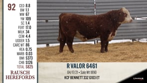 Lot #92 - R VALOR 6461
