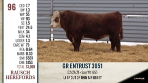 Lot #96 - GR ENTRUST 3051