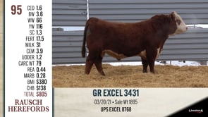 Lot #95 - GR EXCEL 3431