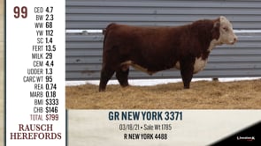 Lot #99 - GR NEW YORK 3371