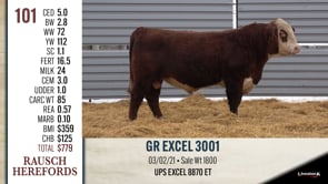 Lot #101 - GR EXCEL 3001