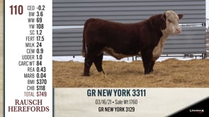 Lot #110 - GR NEW YORK 3311