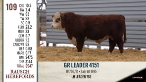 Lot #109 - GR LEADER 4151