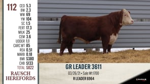 Lot #112 - GR LEADER 3611