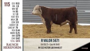 Lot #115 - R VALOR 5671