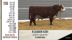 Lot #116 - R LEADER 4281