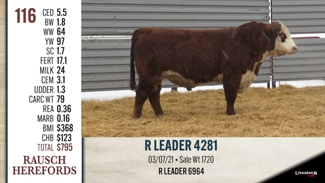 Lot #116 - R LEADER 4281