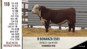Lot #118 - R BONANZA 5561