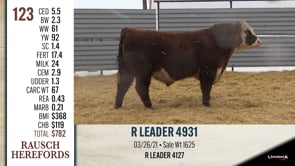 Lot #123 - R LEADER 4931