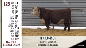 Lot #125 - R KILO 4591