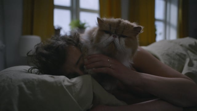 Arla (Ad) - Sing It With Me by Ellem