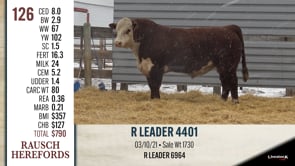 Lot #126 - R LEADER 4401