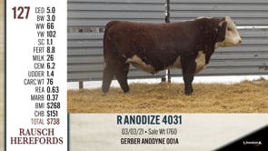 Lot #127 - R ANODIZE 4031