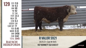 Lot #129 - R VALOR 5921