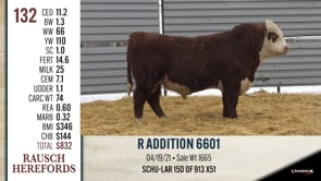 Lot #132 - R ADDITION 6601