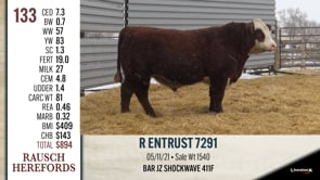 Lot #133 - R ENTRUST 7291