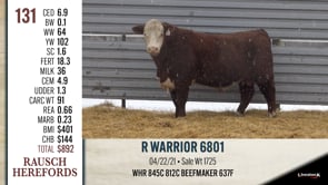 Lot #131 - R WARRIOR 6801