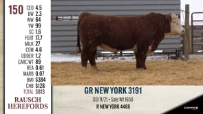 Lot #150 - GR NEW YORK 3191