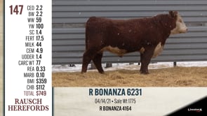 Lot #147 - R BONANZA 6231