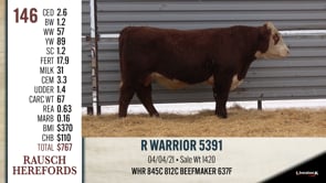 Lot #146 - R WARRIOR 5391