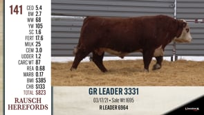 Lot #141 - GR LEADER 3331