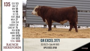 Lot #135 - GR EXCEL 3171