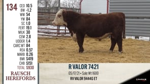 Lot #134 - R VALOR 7421