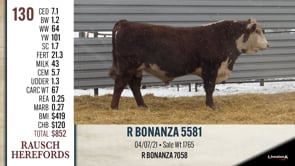 Lot #130 - R BONANZA 5581