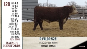 Lot #128 - R VALOR 5251