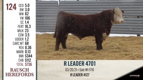 Lot #124 - R LEADER 4701
